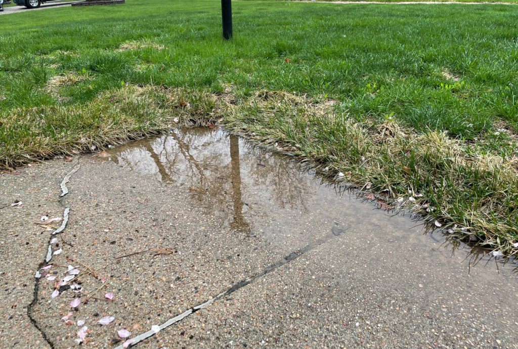 Standing water on concrete sidewalk