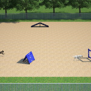 Canine Courtyard Essentials dog park agility package