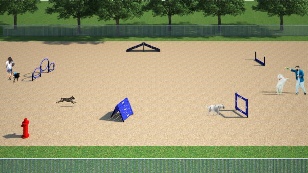 Canine Courtyard Essentials dog park agility package