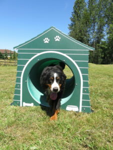 Bow Wow Barrel Doghouse