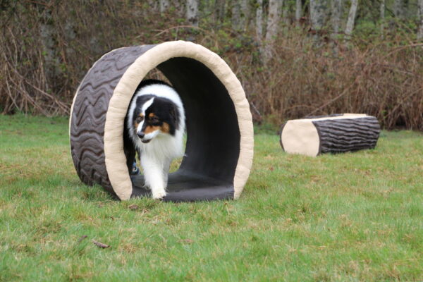 Dog Through the Log