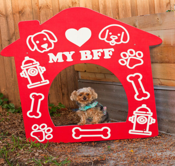 Red Doghouse Photo-Op with little dog