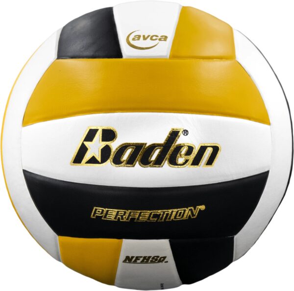 Perfection Volleyball - black and gold