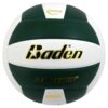 Perfection Volleyball - green and white
