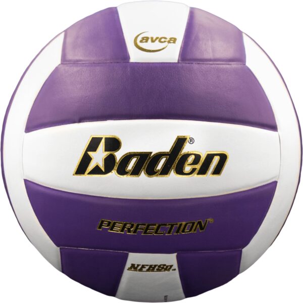 Perfection Volleyball - purple and white