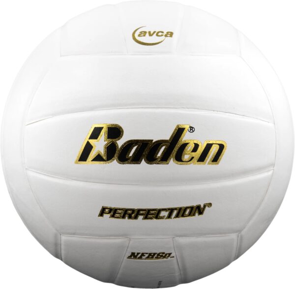 Perfection Volleyball - white